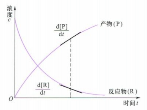 11.1 反应物和产物的浓度随时间的变化