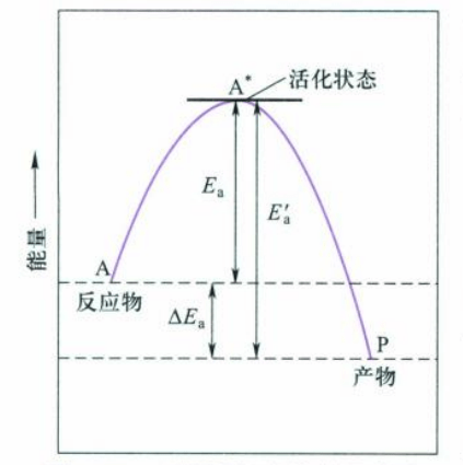 11.4 基元反应活化能