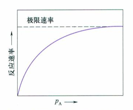 13.12 服从Rideal历程的反应速率与分压关系图