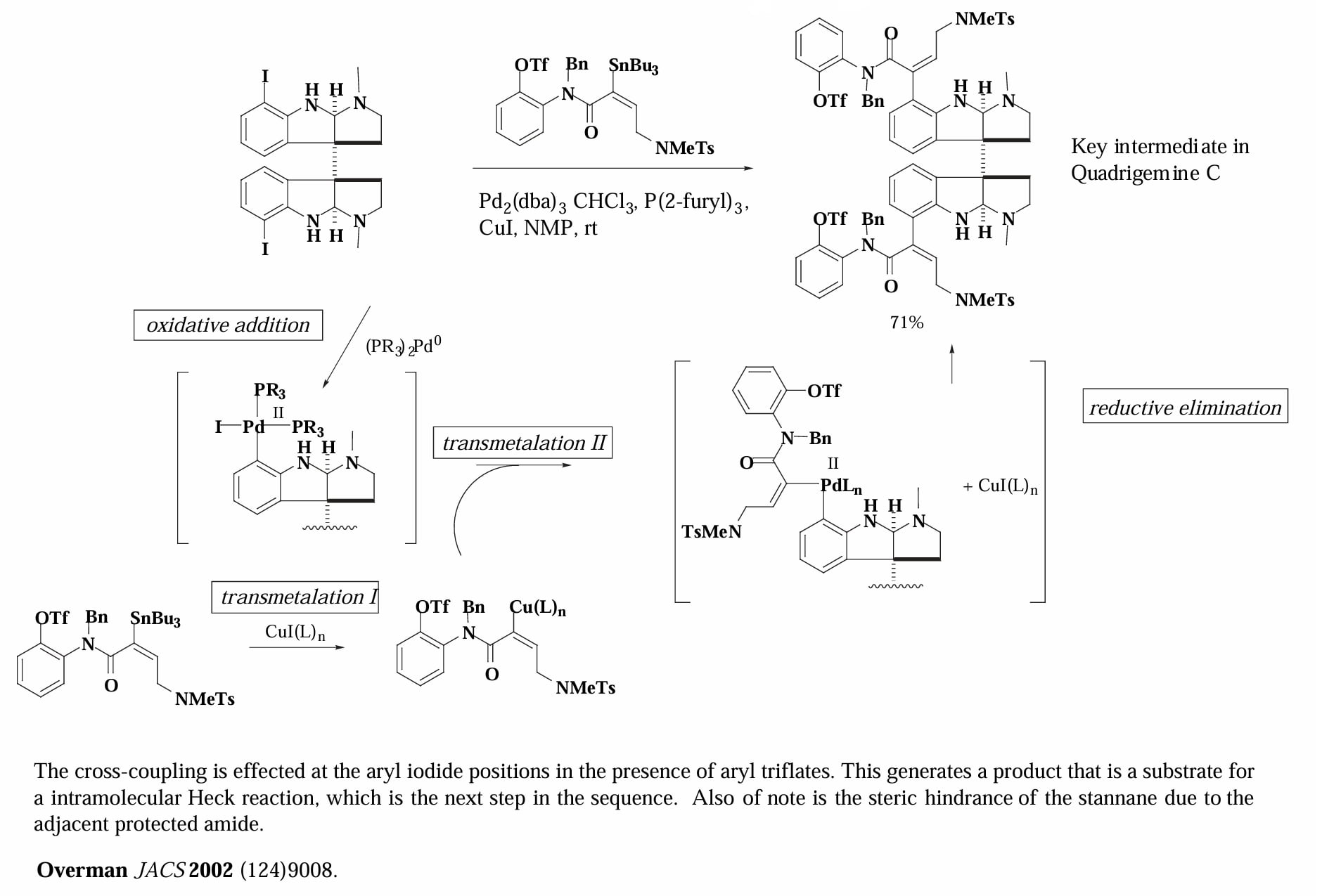 omc3-19