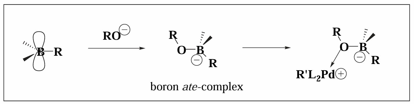 omc3-24