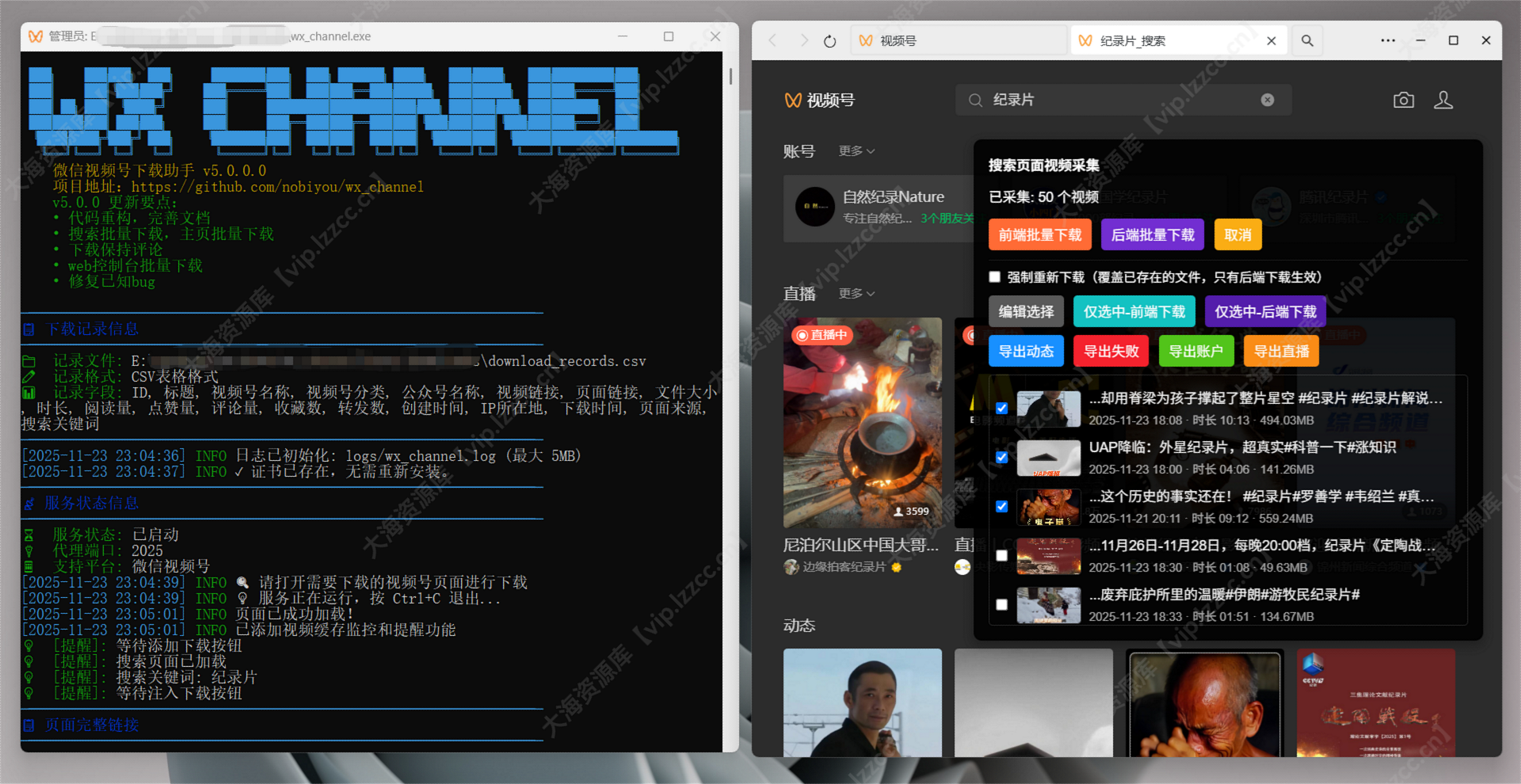 图片[1]-微信视频号下载工具 v5.1.0「批量采集与自动分类的多功能视频下载器」-大海资源库