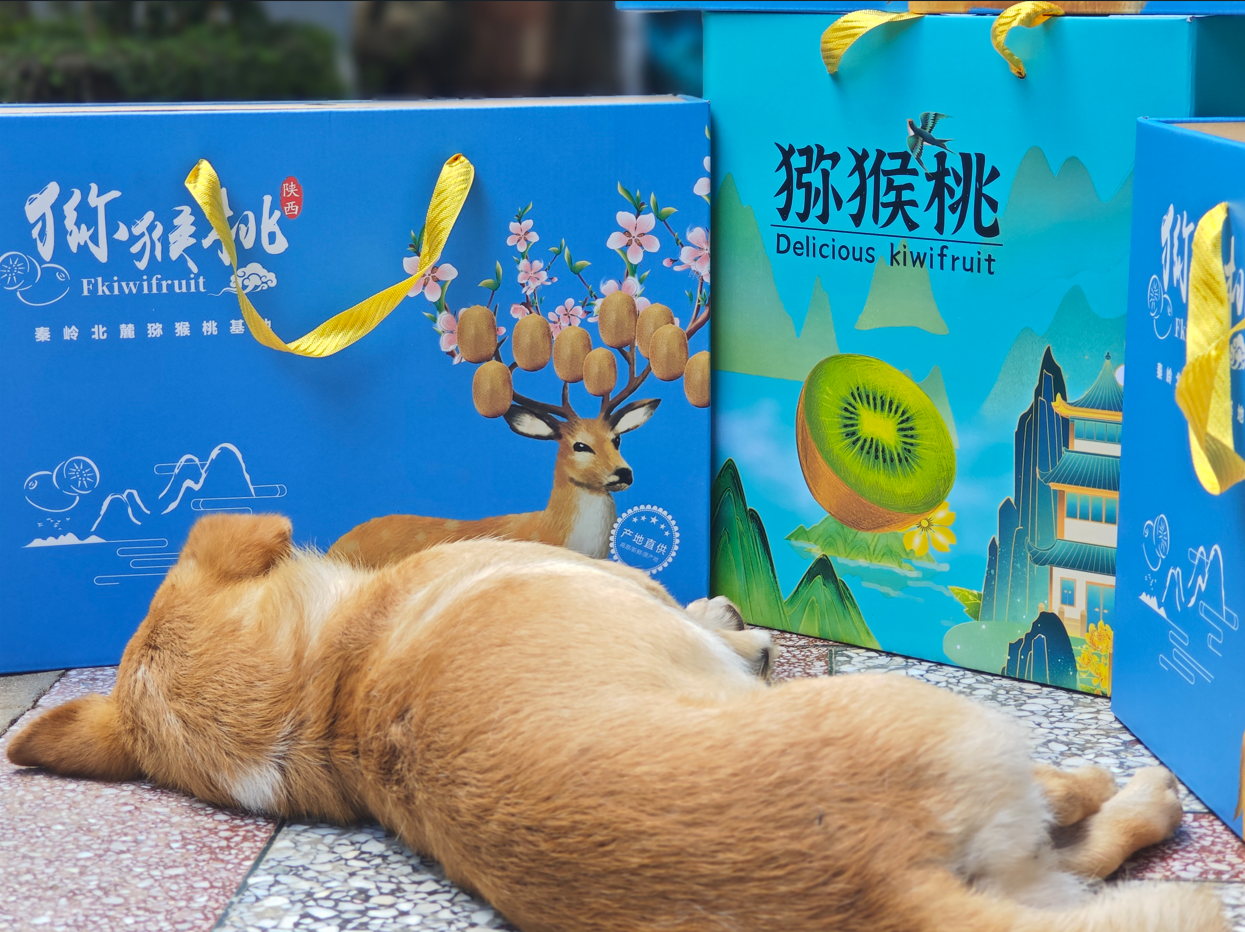 猕猴桃礼盒