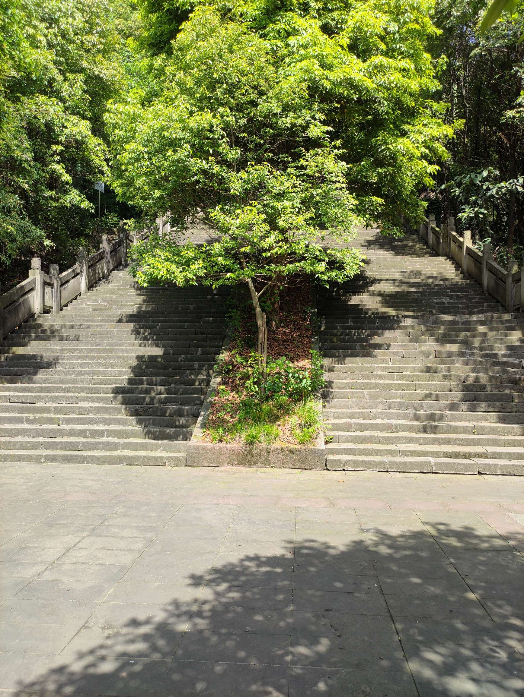 五一放假傻逼到去爬山拍的辣鸡照片 五一放假傻逼到去爬山拍的辣鸡照片
