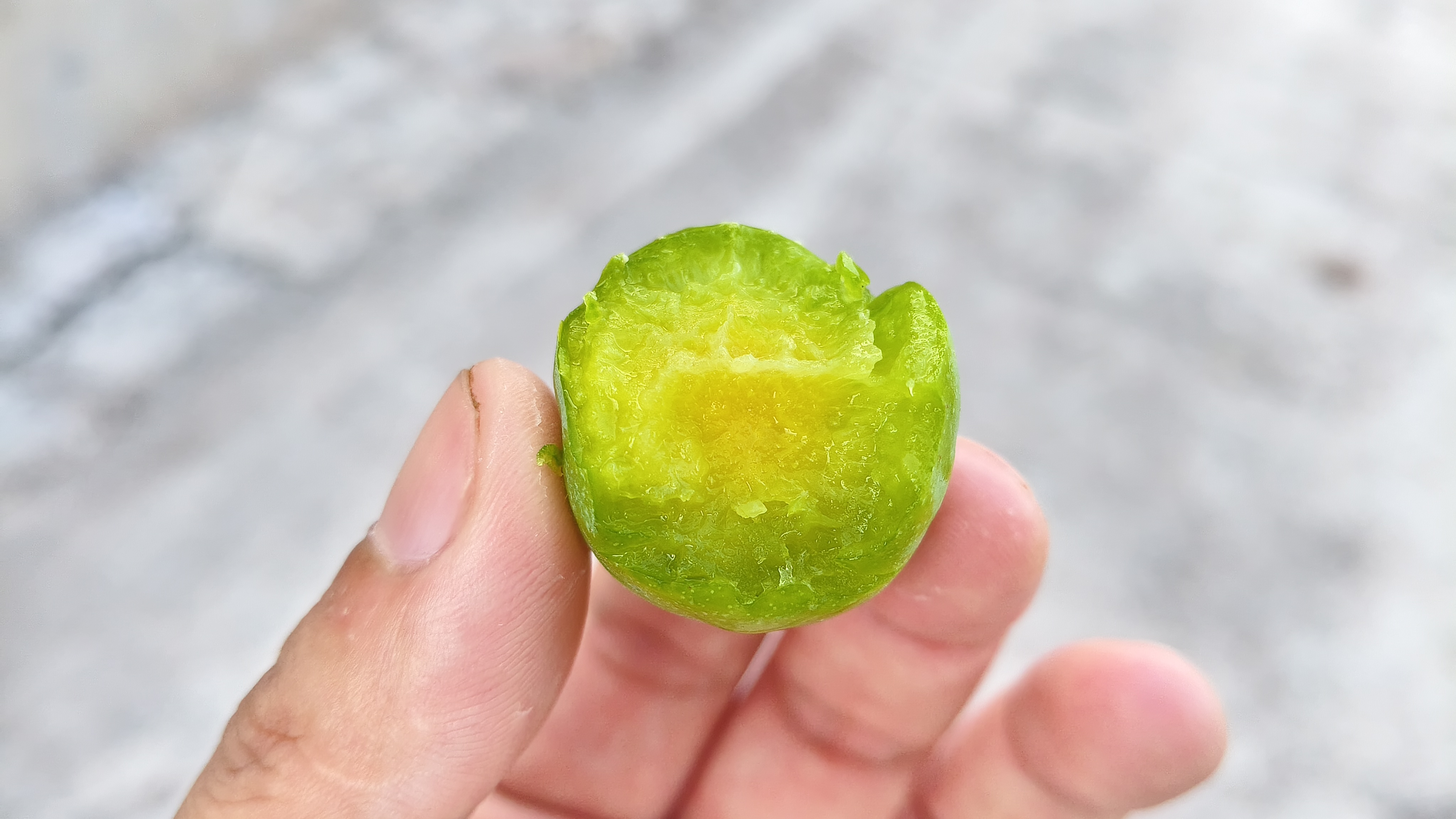 救命！这串李子看得我口水狂飙！
